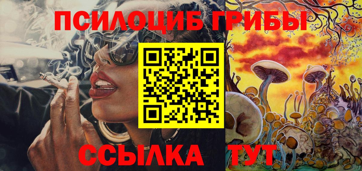 Шатура  Галлюциногенные грибы Cubensis  Вход с VPN 