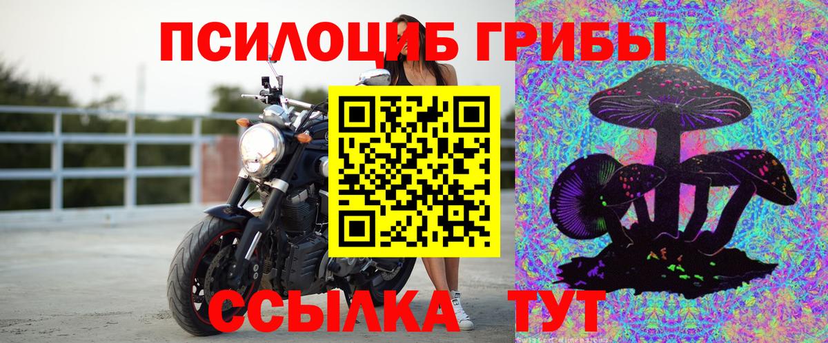 Галлюциногенные грибы Cubensis Шатура